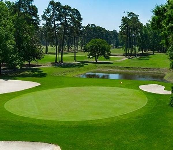 Beginner-friendly Golf Courses Near Me