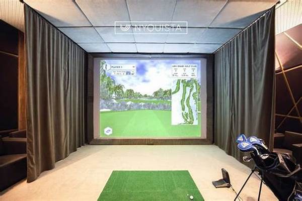 Cheap Diy Golf Simulator Setups