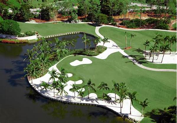 Top Public Golf Courses Florida