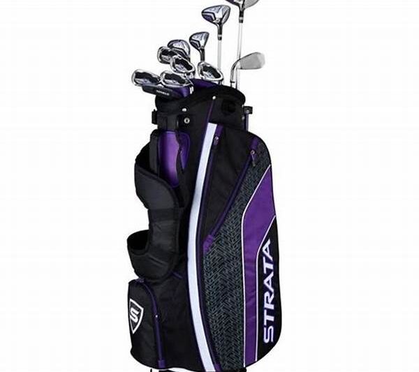 Affordable Golf Clubs For Beginners