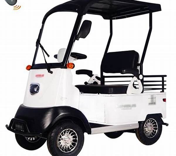 Golf Carts With Simple Controls For Seniors