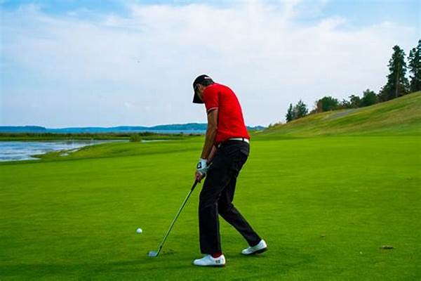 **golf Swing Mechanics Mobile Platform**