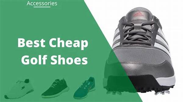 Inexpensive Golf Supplies Florida
