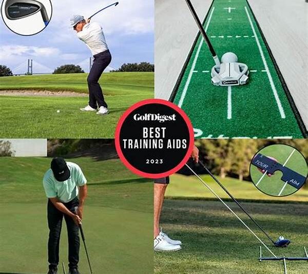 Golf Training Devices For Elders