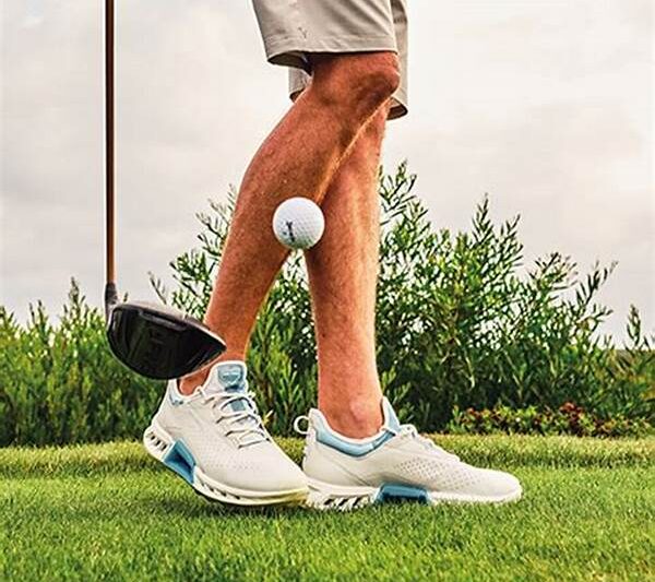 Stylish Golf Shoes For Dads