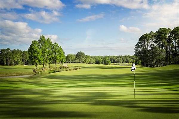 Discounted Florida Golfing Spots