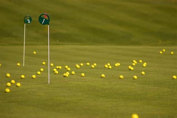 Enhancing Swing Precision Automatically.