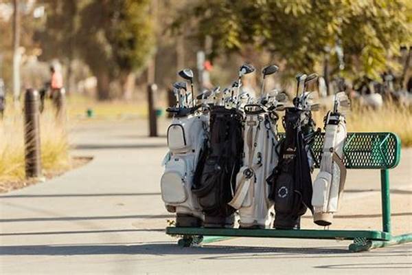 Inexpensive Golf Practice Gear Collection