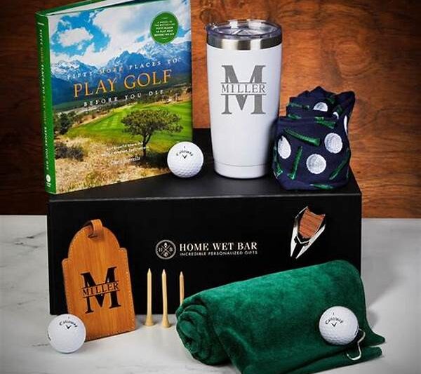 Cost-effective Golf Accessories Florida