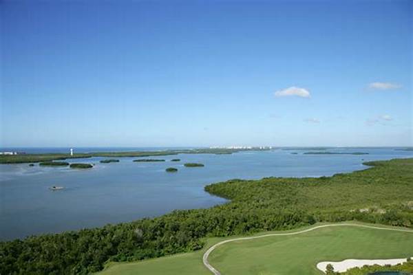Natural Beauty Of Florida Golf