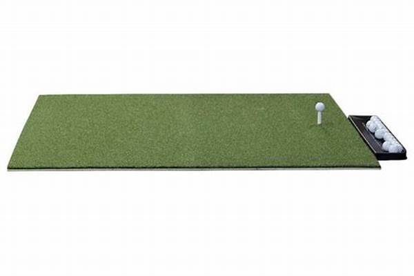 Affordable Golf Mats For Homes
