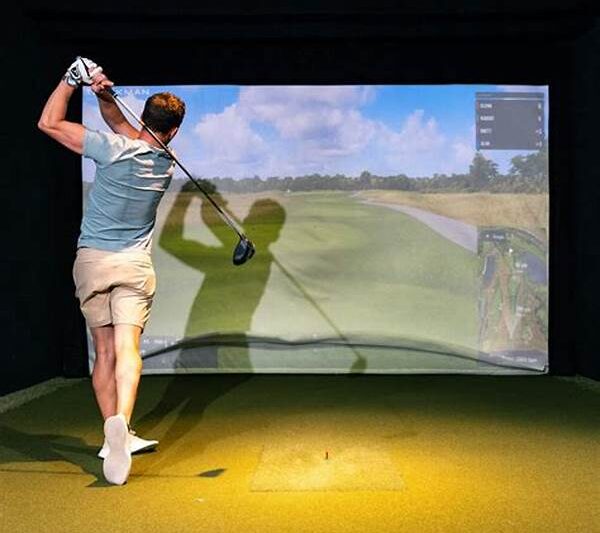 Indoor Golf Simulation For Less