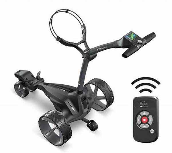 “remote Golf Score Access Cloud System”