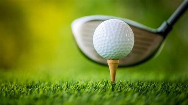 Beginner Golf Lessons For Kids