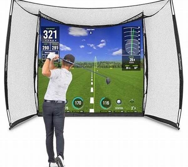 Cheap Online Golf Practice Solutions