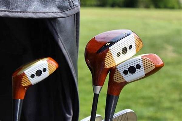 Customizable Golf Clubs For Elderly Players