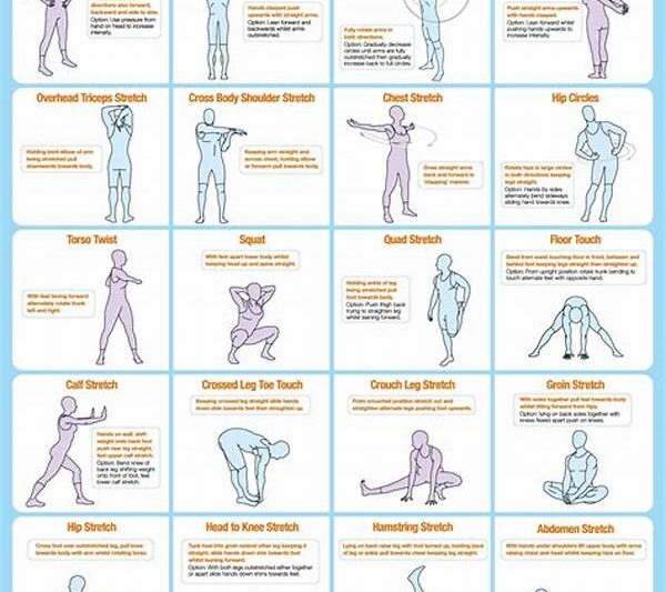 Safe Stretching Techniques For Seniors