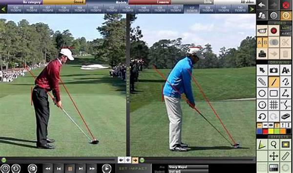 Swing Mechanics Simulation Software