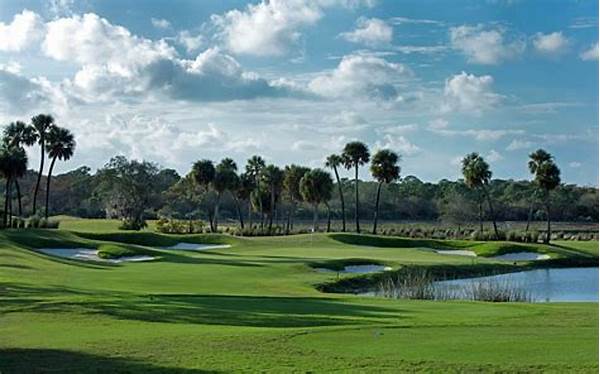 Top-rated Scenic Golf Clubs Florida