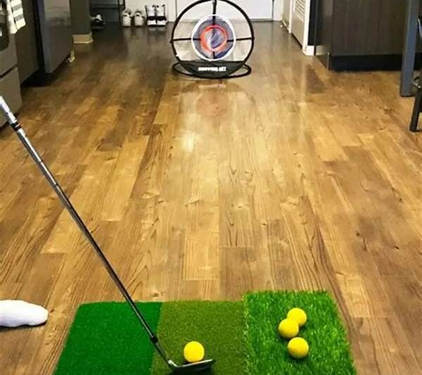Indoor Chipping Practice Tools
