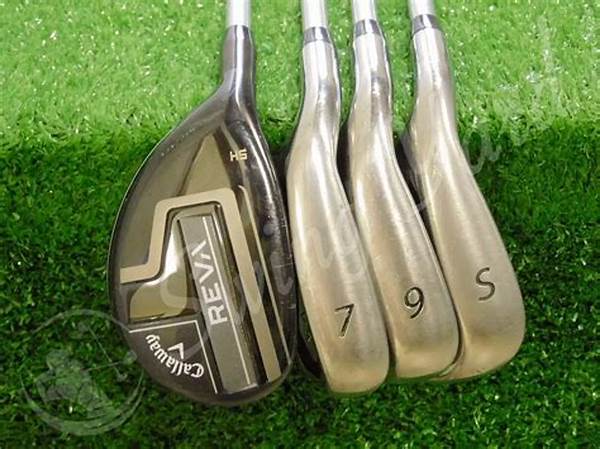 Best Golf Clubs Tall Individuals