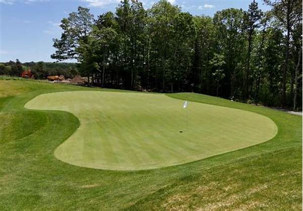 Best Starter Golf Courses Near Me