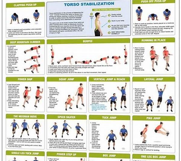 Plyometric Drills For Power Development