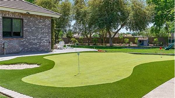Economical Putting Green For Home