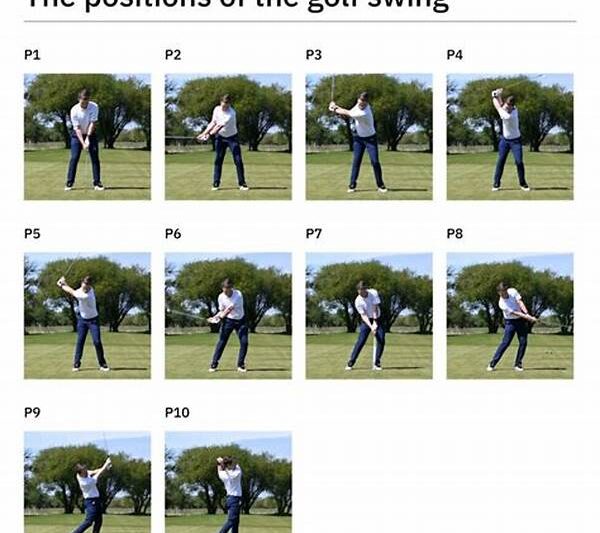 Innovative Golf Swing Monitoring System