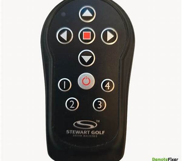 Remote Golf Instruction Service