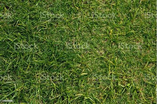 Authentic Grass Surface Deformation Effects
