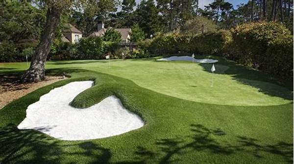 Golf Chipping Area Ideas